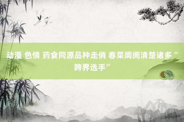 动漫 色情 药食同源品种走俏 春菜阛阓清楚诸多“跨界选手”
