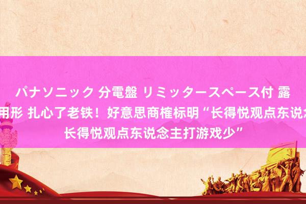 パナソニック 分電盤 リミッタースペース付 露出・半埋込両用形 扎心了老铁！好意思商榷标明“长得悦观点东说念主打游戏少”