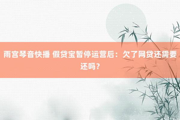 雨宫琴音快播 假贷宝暂停运营后：欠了网贷还需要还吗？