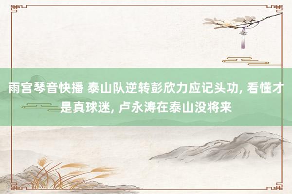 雨宫琴音快播 泰山队逆转彭欣力应记头功， 看懂才是真球迷， 卢永涛在泰山没将来