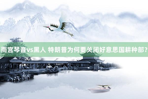 雨宫琴音vs黑人 特朗普为何要关闭好意思国耕种部？